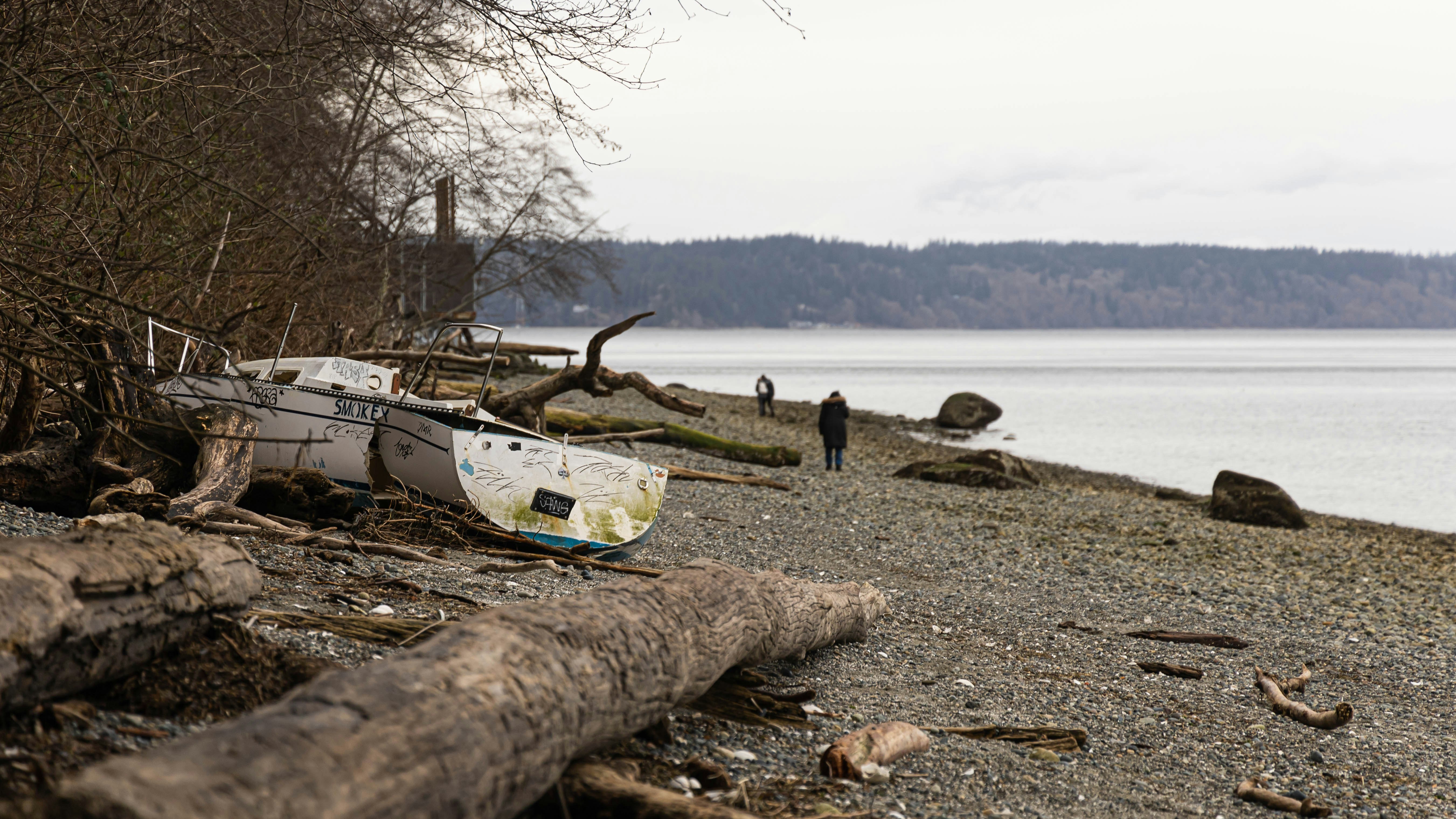 white and blue kayak on brown sand near body of water during daytime